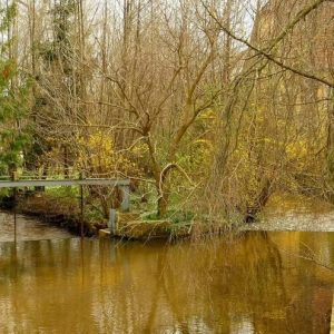 réserve naturelle à Altorf