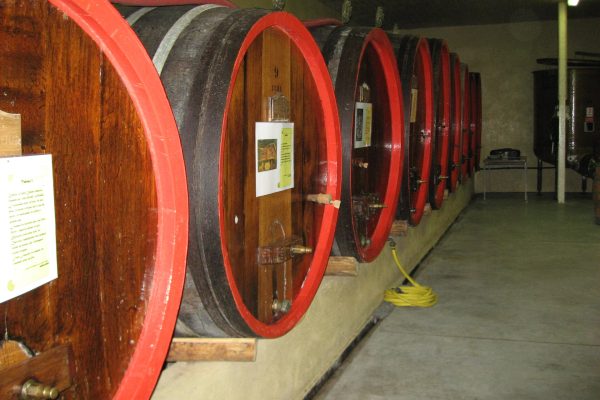 Dorli_Domaine Rapprallye_rapp_0712©OTMM