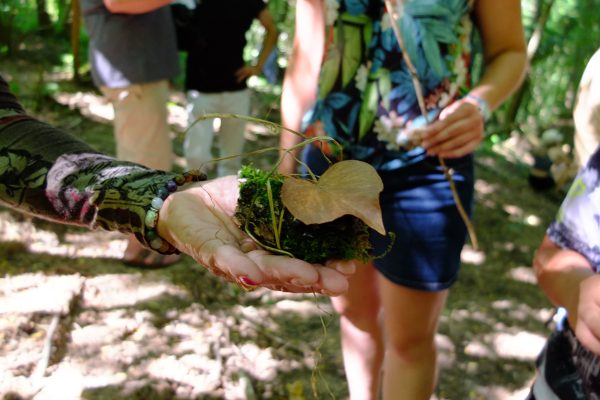 balade3©enversdudecor